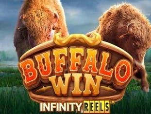 Buffalo Win screenshot